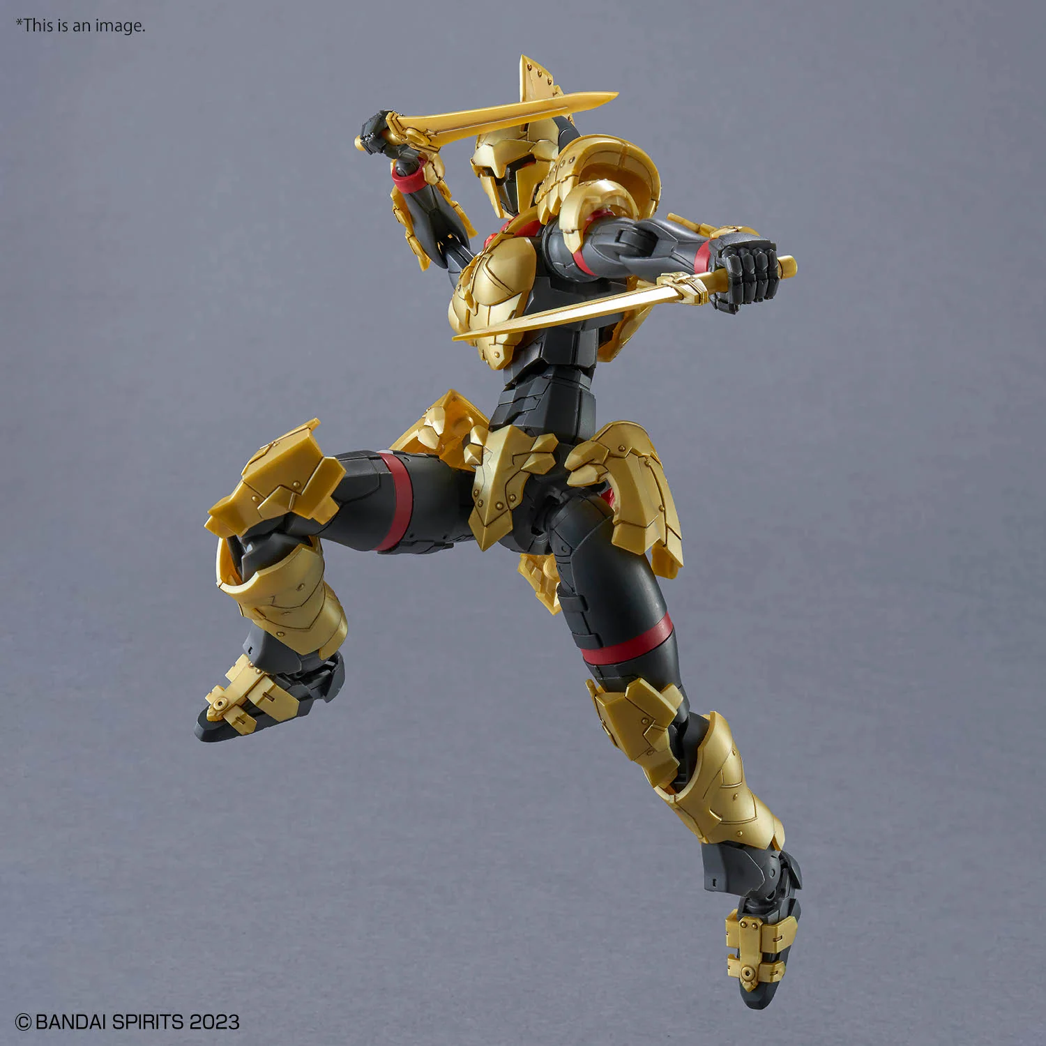 30MF Liber Swordsman - Image 7