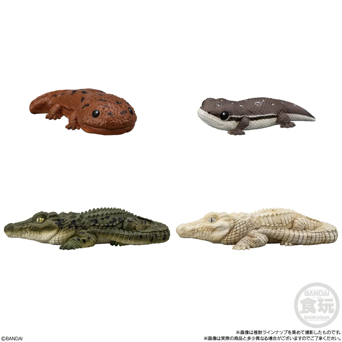 Tenori Friends 12: Reptiles & Amphibians [Blind Box] - Image 4
