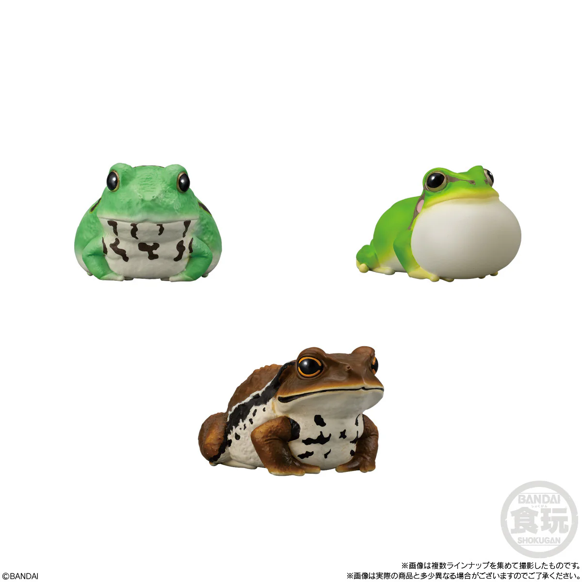 Tenori Friends 12: Reptiles & Amphibians (Display of 12) - Image 3