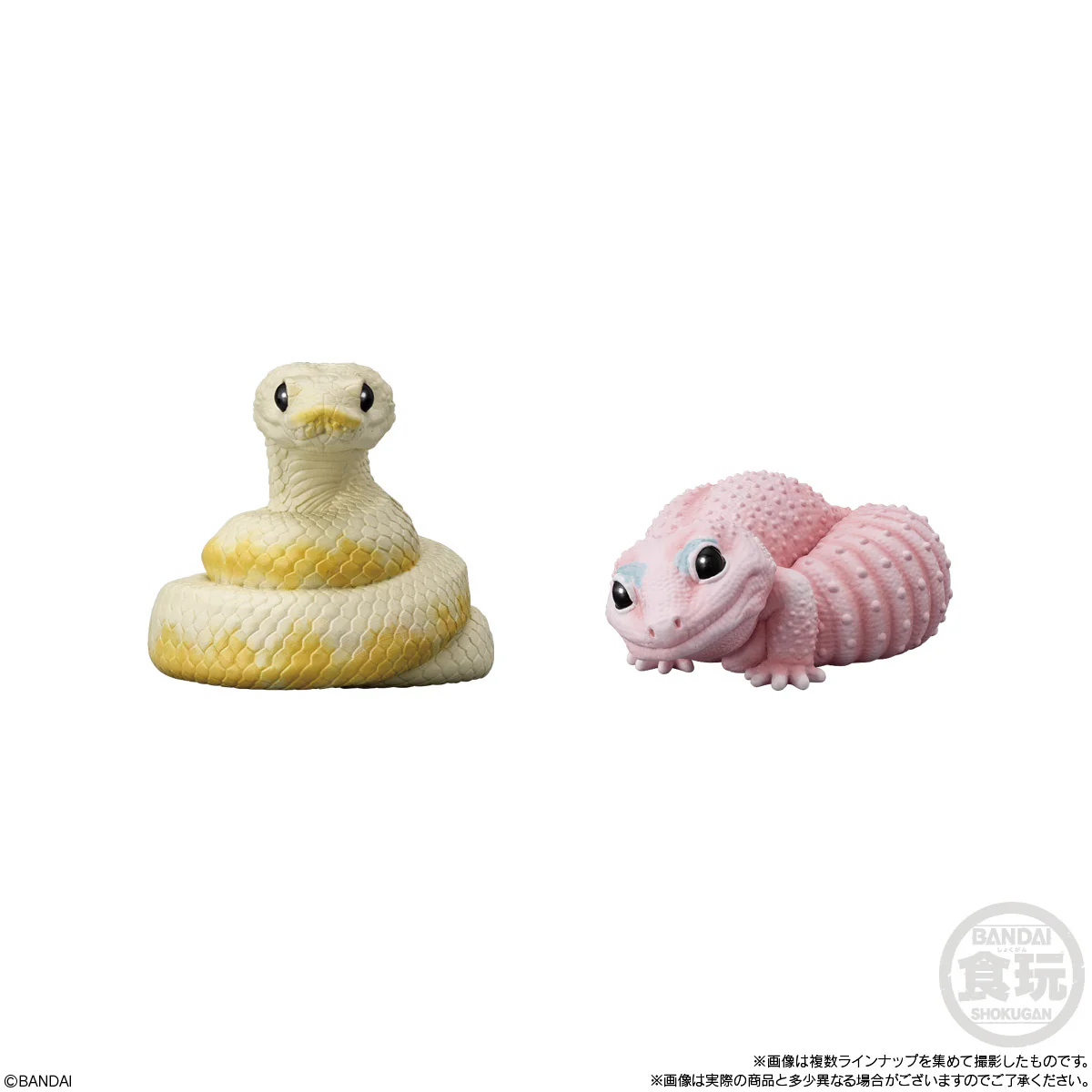 Tenori Friends 12: Reptiles & Amphibians (Display of 12) - Image 5